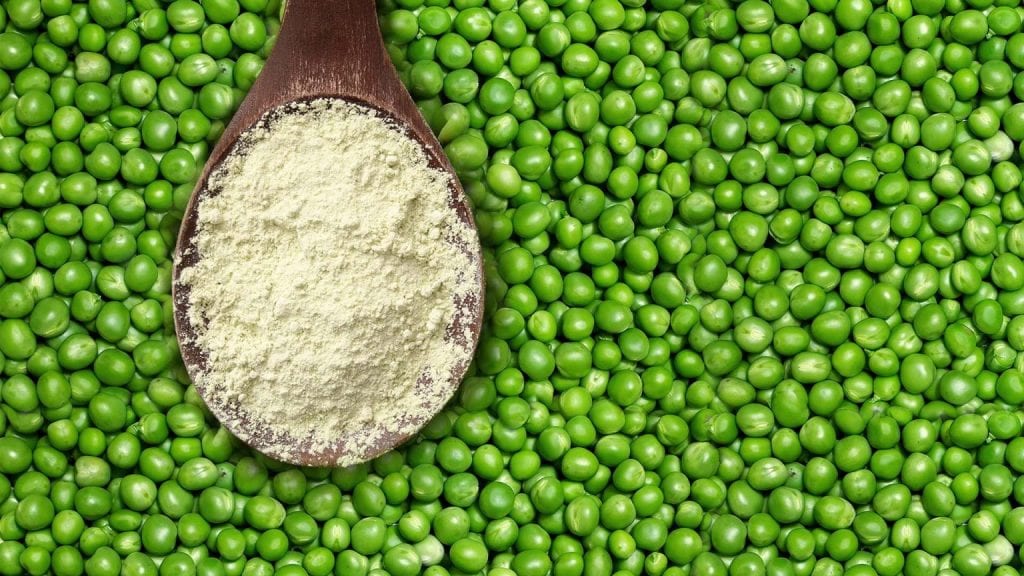 pea-protein-_River-Decanter-Centrifuge-1536x864